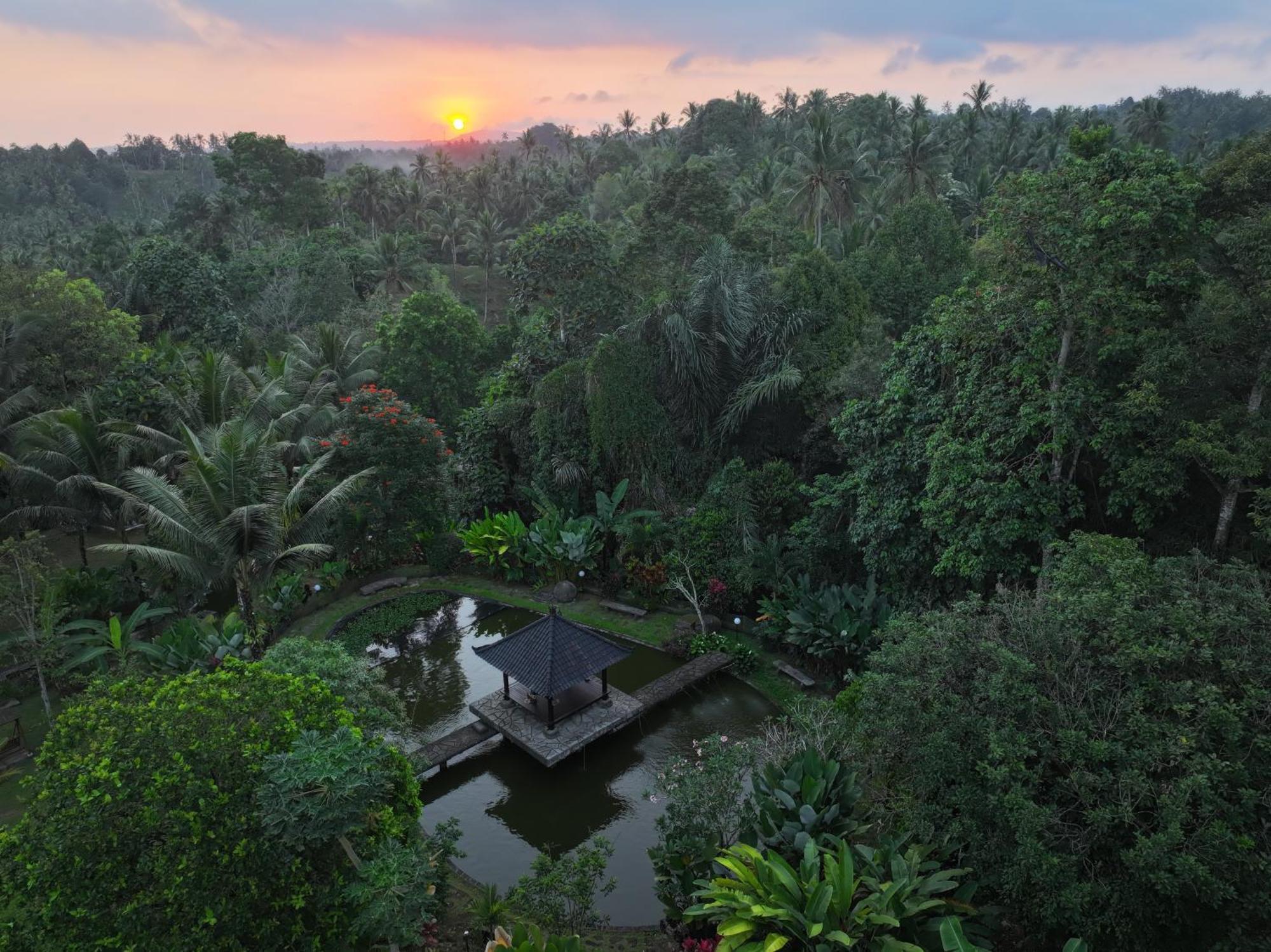 Bali Palms Apartment Selemadeg Екстериор снимка